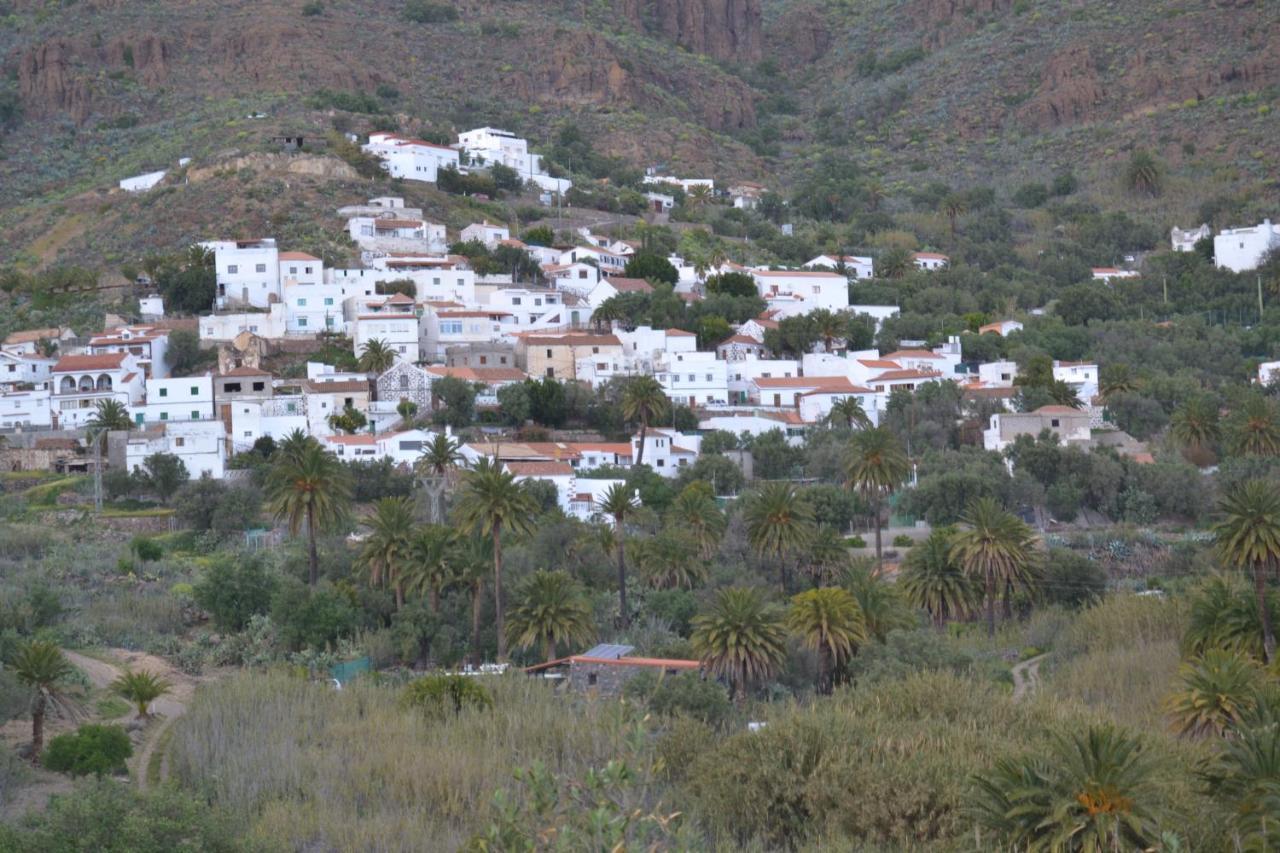 Las Palmeras Temisas المظهر الخارجي الصورة