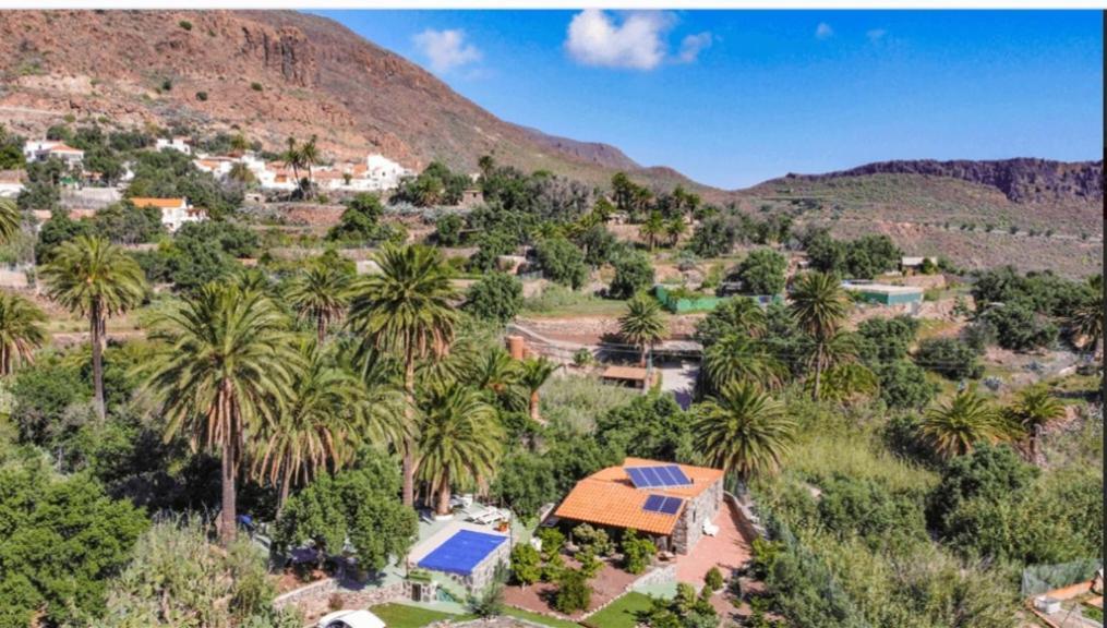 Las Palmeras Temisas المظهر الخارجي الصورة
