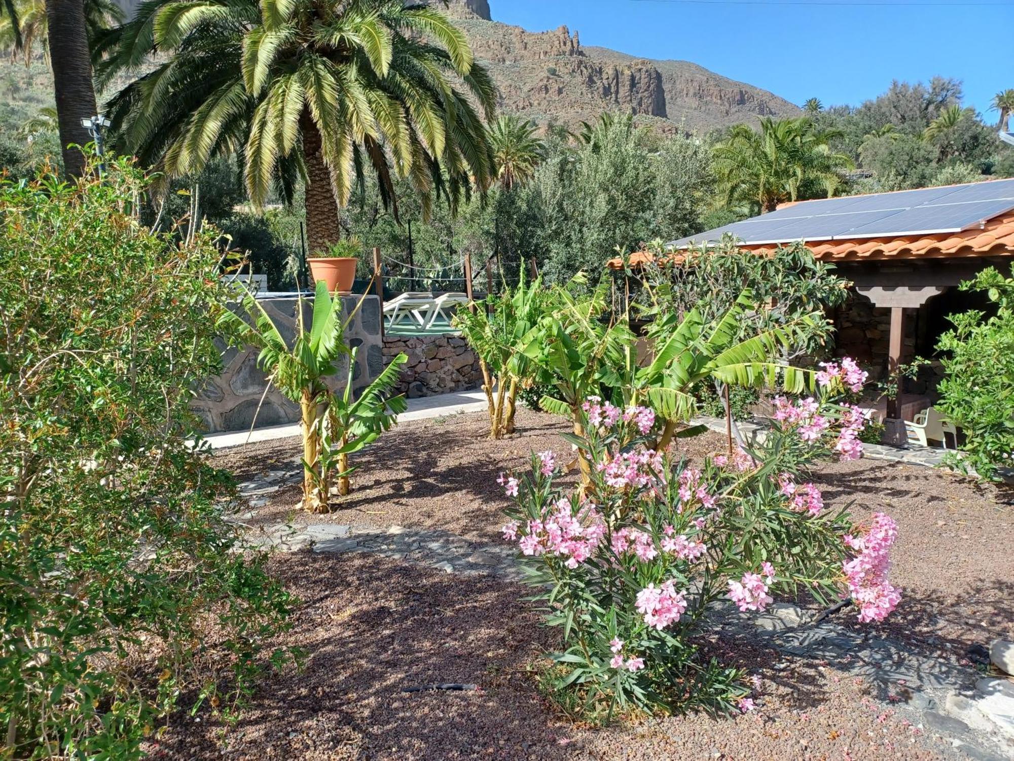 Las Palmeras Temisas المظهر الخارجي الصورة